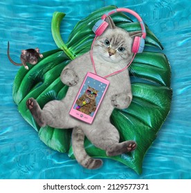 An ashen cat on an inflatable leaf listens to music in a swimming pool. - Shutterstock ID 2129577371