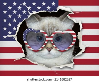An ashen cat patriot in sunglasses looks through a hole of the us flag. - Shutterstock ID 2141882627