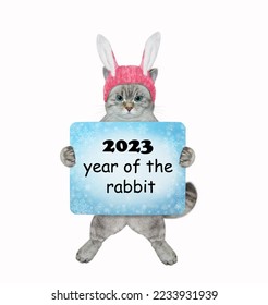 An ashen cat in rabbit ears holds a 2023 New Year sign. White background. Isolated. - Shutterstock ID 2233931939