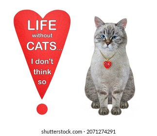 An Ashen Cat Sits Near A Heart Shaped Exclamation Point With Text Life Without Cats... I Don't Think So. White Background. Isolated.