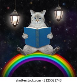 An ashen cat sits on a rainbow and reads a blue book at night. - Shutterstock ID 2125021748