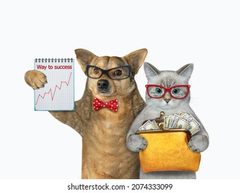 An ashen cat with a wallet of dollars and a beige dog with a notebook with a chart make money. White background. Isolated. - Shutterstock ID 2074333099