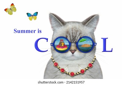 An ashen cat wears sunglasses with the reflection of an island in them. Summer is cool. White background. Isolated. - Shutterstock ID 2142151957