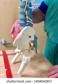 Asheville, NC / USA - May 21, 2019: A Doctor Shows A Patient The Workings Of The Spine In Order To Point Out A Bulge In The Low Back Near The Facet Joints.