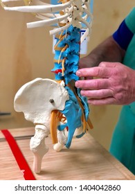 Asheville, NC / USA - May 21, 2019: A Doctor Shows A Patient The Workings Of The Spine In Order To Point Out A Bulge In The Low Back Near The Facet Joints.