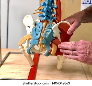 Asheville, NC / USA - May 21, 2019: A Doctor Shows A Patient The Workings Of The Spine In Order To Point Out A Bulge In The Low Back Near The Facet Joints.