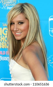 Ashley Tisdale At The World Premiere Of Disney's 