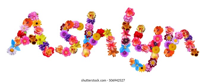 Sophie Flower Name Stock Photo 506953021 | Shutterstock