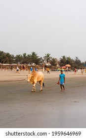 Ashvem, Goa,India- April 2 2021: Tourists And Locals Enjoying The Beach And Beach Activities In Goa, India During Covid 