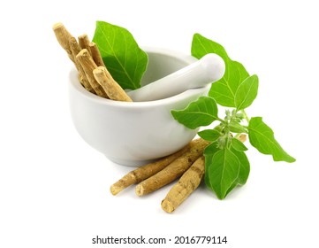 Ashwagandha Dry Root Medicinal Herb in a Grinding Bowl with Green Leaves, also known as Withania Somnifera, Ashwagandha, Indian Ginseng, or Winter Cherry. Isolated on White Background.
