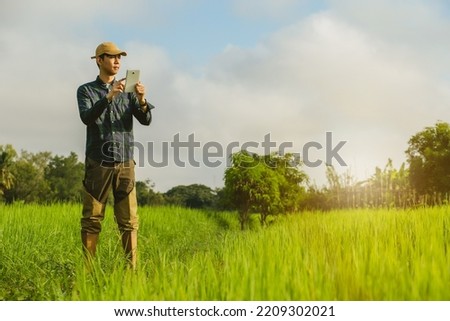 Asia male Farmer analyzing rice field While Using Digital Tablet in smart Farm,  
agriculture technology concept