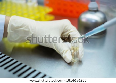 Asia scientist wears a glove and used a micropipette and transfer sample into a quartz cuvette in the biosafety hood. People in the laboratory study on anti corona drugs. Pharmaceutics concept