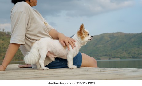 Asia Woman People Enjoy Staycation Pet Owner Getaway Good Time Day With Small Puppy Dog Lover Sit Relax Happy Care Hug And Kiss Cute Friend At Rural Calm Lake Pier With Blue Sky In Nature Trip Life.