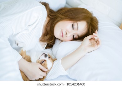 Asia young woman wearing white suit with dog Chihuahua, Lie on the bed in a clean bedroom. There is no allergy to wool from dog. Dog can sleep on the bed if they are well cleaned. Great relax to sleep