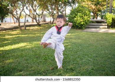 Asian 3 - 4 Years Old Toddler Boy Child Posing In Fighting Action On Nature At The Park, Taekwondo Class For Toddler, Fun & Fitness Martial Arts For Kids Concept, Soft & Selective Focus