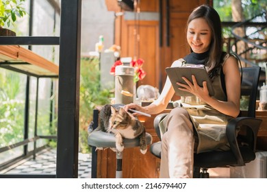 Asian Adult Female Creative Designer Casual Relax Working With Her Cat Pet Morning Weekend At Home Studio,young Asian Asian Wear Apron Research Information For Her Workshop Via Tablet Device