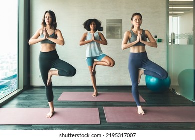 Asian  and African American woman friend doing Yoga Pilates workout together at gym.Group of diversity practicing yoga class, healthy Exercise,stretching in  exercise, wearing sportswear bra . - Powered by Shutterstock