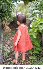 Asian American Toddler Girl Curious Looking And Exploring Low Tunnel Made From Bean And Okra Plants At Public Community Garden Near Dallas, Texas, America. Kids Field Trips And Student Tour Activities