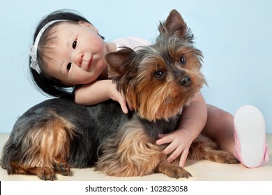 Asian Baby Doll Embracing Her Pet Dog Yorkshire Sitting Down In Front On A White Background.