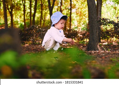 Asian Baby Playing In The Dirt Outdoors