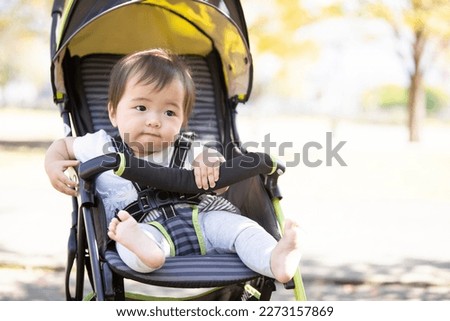 Asian baby in a stroller to the park