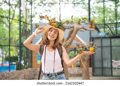 Asian Beautiful Woman Enjoying With Love Bird On Hand And Body, In Cage Background, Environment Human And Nature Concept, Smiling Woman Playing With Her Bird Pet, Sun Conure Parrot Bird Group.