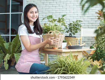 An Asian Beautiful Woman Smiling With Happiness While Gardening And Holding Plants As Her Hobby At Home