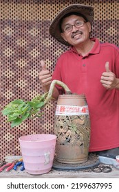 Asian Bonsai Artist Repotting A Bonsai Tree. Bougainvillea Tree.