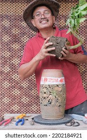 Asian Bonsai Artist Repotting A Bonsai Tree. Bougainvillea Tree.