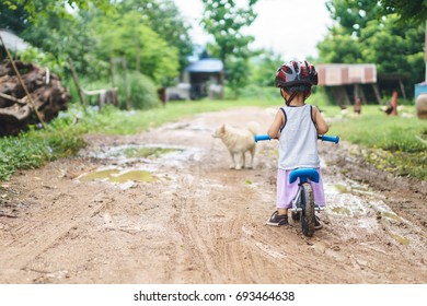 Asian Boy About 1 Year And 6 Months Is Playing With Baby Balance Bike On Muddy Road At Rural Countryside Along With His Dog