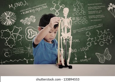 Asian Boy Learns Biology  In A Class