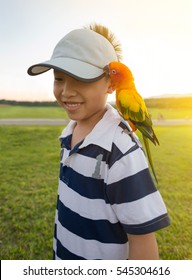 Asian Boy Play With His Pet Parrot In The Park.