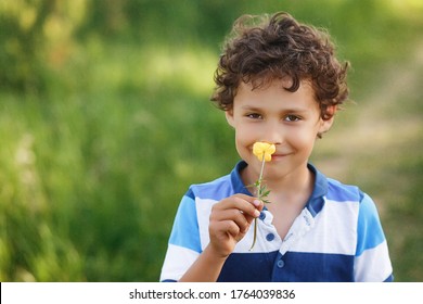 Asian Boy Smelling Flower, Portrait Of Little Boy Smelling Picked Flowers In Nature