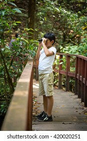 Asian Boy Travel Traveler Forest Binoculars Child Nature Looking Tree Adventure 