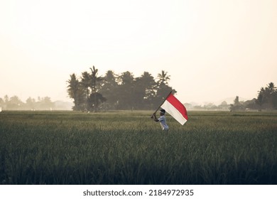 Asian Boy Wearin School Uniform And Headband Is Running In The Paddy Field And Raising Indonesian Flag With Spirit Against Sunrise Background.