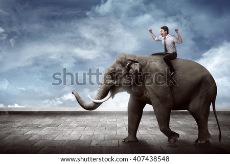 Asian business man riding elephant sit on it back