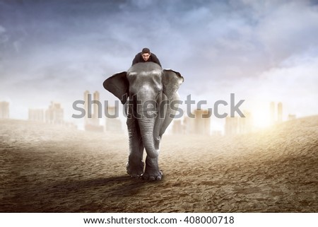 Asian business man riding elephant walking with city background