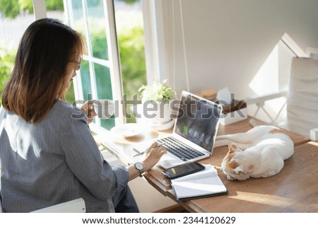 Asian business woman thinking for ideas and using laptop working on desk in the cafe. Business woman work and play with white cat on the table.
