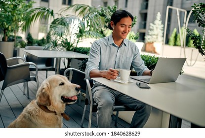 Asian businessman working in the city with laptop wearing wireless earphones. Confident young man sitting in cafe with dog. - Powered by Shutterstock