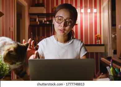 Asian Businesswoman Work From Home At Night Overtime With Pet(cat) Interruption, Video Call Conference Or Virtual Meeting On Laptop Computer