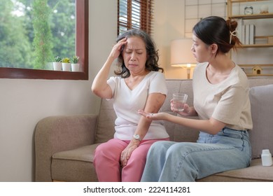 Asian Caregiver Or Daughter Take Care Of The Elderly At Home In The Living Room, Providing Timely Medication.