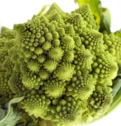 Asian Cauliflower Typical Example For Fractal In The Nature