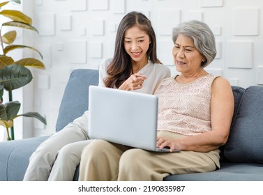 Asian Cheerful Old Senior Healthy Gray Hair Female Pensioner Mother Sitting Smiling With Young Daughter On Cozy Sofa In Living Room Using Laptop Notebook Computer Browsing Shopping Online Together.