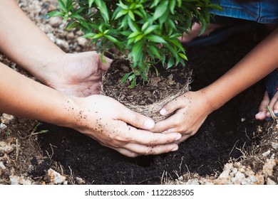 Asian child girl helping her parent to plant the young tree in the garden as save world concept