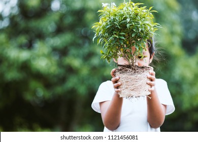 Asian Child Girl Holding Young Tree For Prepare Planting Into Soil As Save World Concept