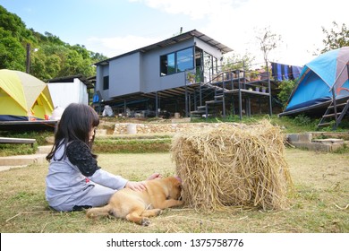 Asian Child Happy Or Kid Girl Playing Dog Pet On Campsite Or Green Grass Lawn And With Straw And Nature Camping Tent On Family Holiday Vacation For Relax Travel With Blue Sky In Garden Home And Resort