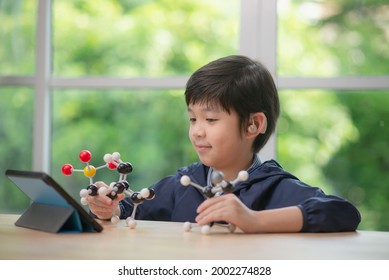 Asian child with hearing aid constructing molecular model  in science classroom online at home