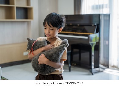 Asian Child Playing With Cat At Home.