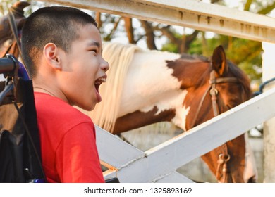 Asian Child Is Smiling On A Wheelchair.
He Sitting In The Ranch.
In The White Fence There Is A Horse, Life In The Education Age Of Disabled Children, Happy Disabled Kid Concept.