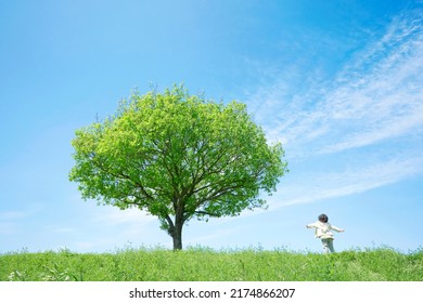 Asian Child Standing At The Green Field With One Tree